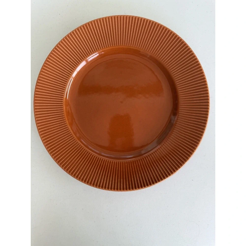 Pier 1 Radius Orange Stoneware Dinner Plates 10.5 